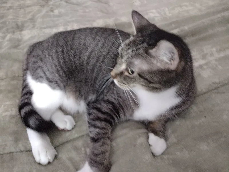 Mattie May thumbnail 5