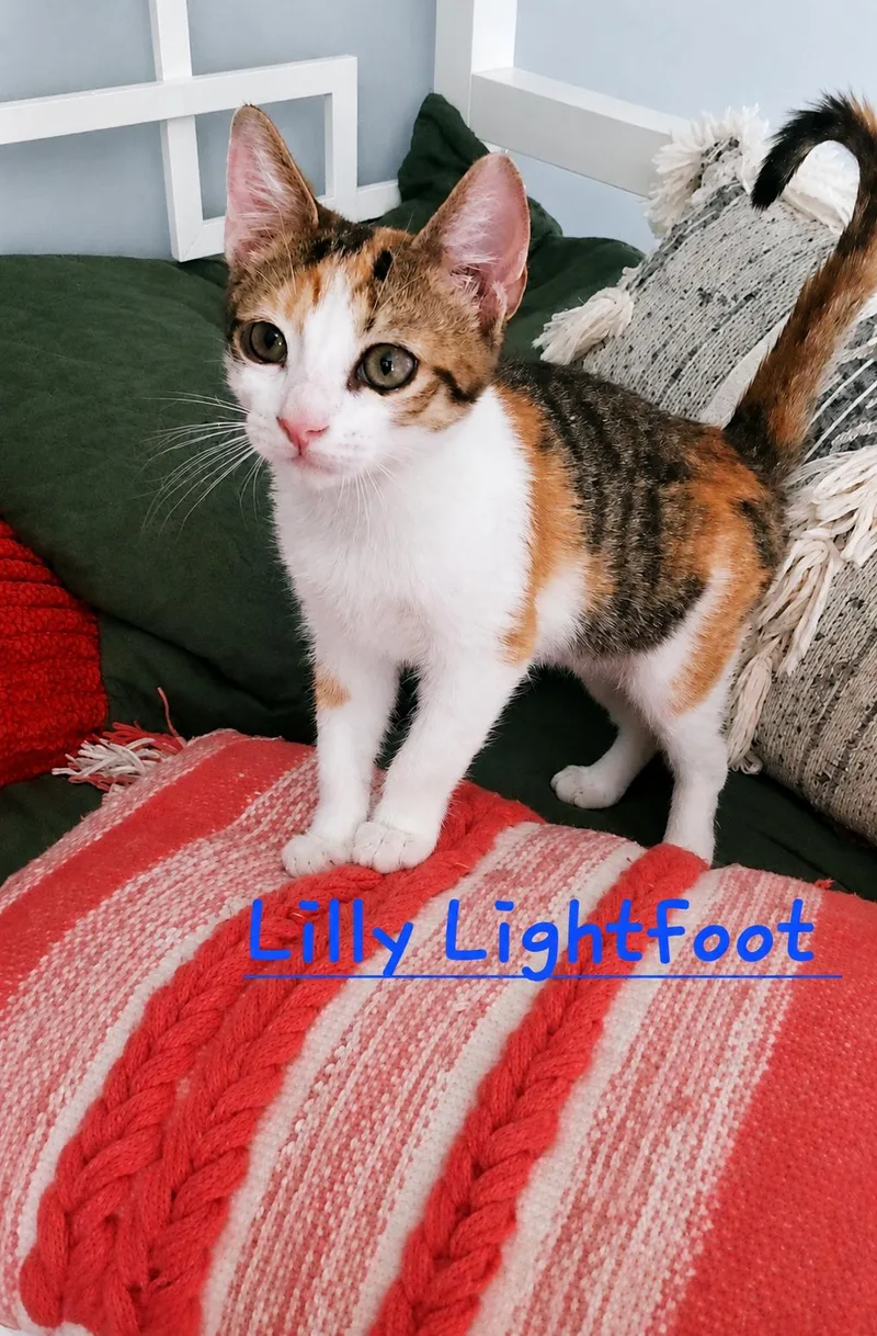 Lilly Lightfoot thumbnail 2