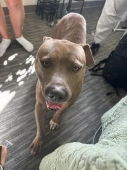 Squirrelly Dan thumbnail 3