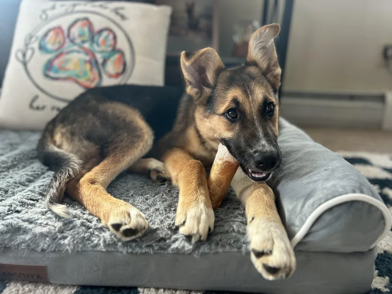 Tallulah thumbnail 2