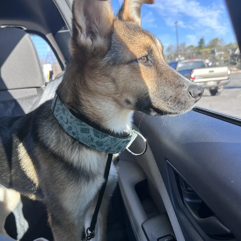 Tallulah thumbnail 3