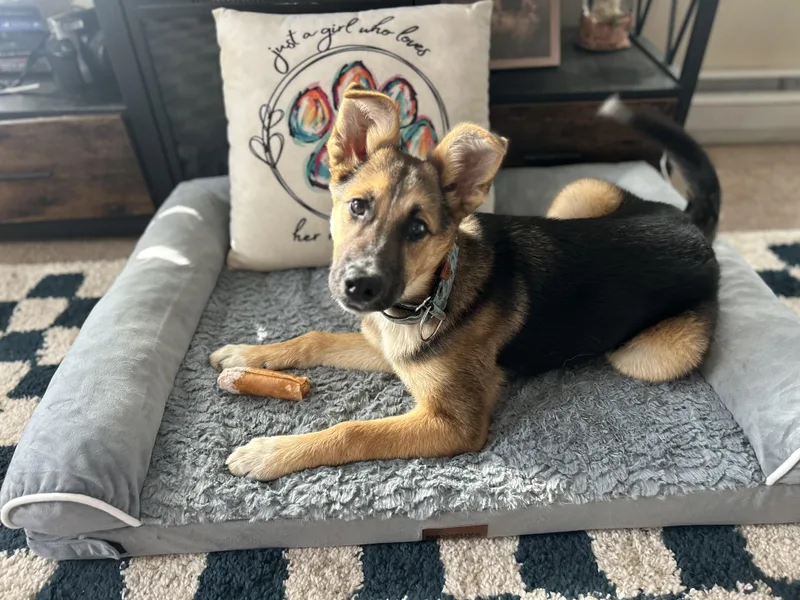 Tallulah thumbnail 4