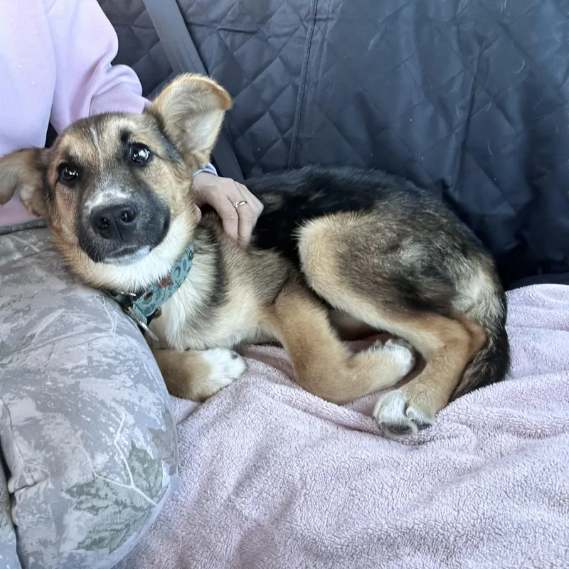 Tallulah thumbnail 5