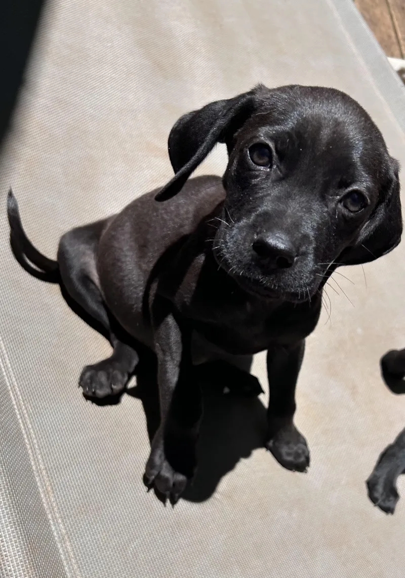 Winifred