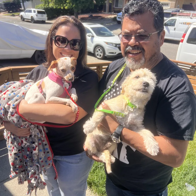 Speckles thumbnail 2