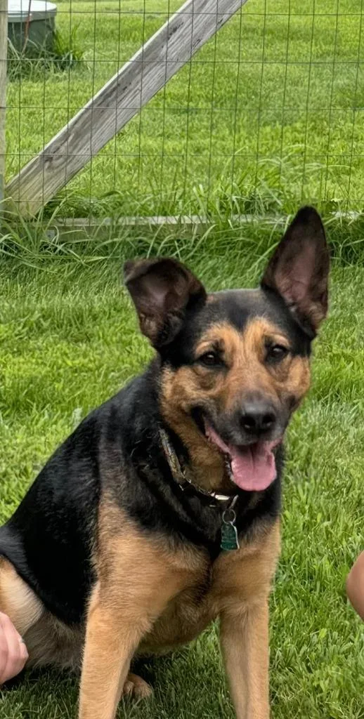 Bella Courtesy Listing thumbnail 3