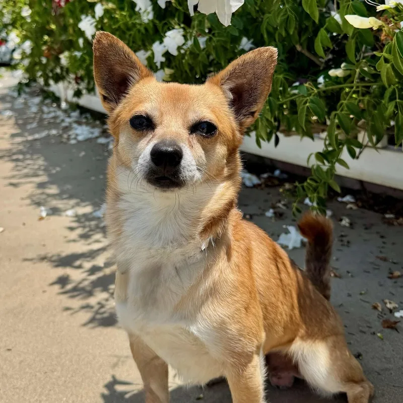 Billy Bob thumbnail 2