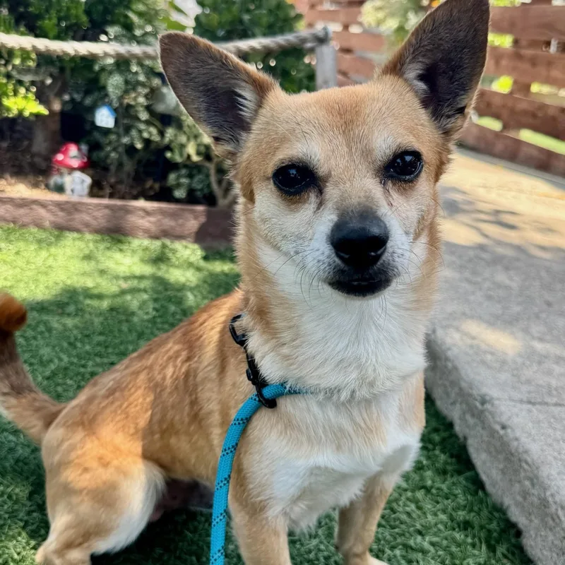 Billy Bob thumbnail 3