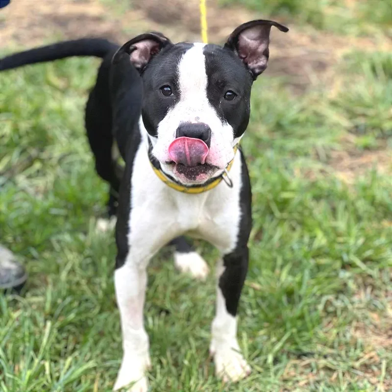 Einstein thumbnail 5