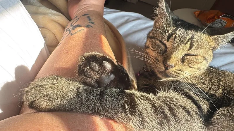 Cleo thumbnail 4