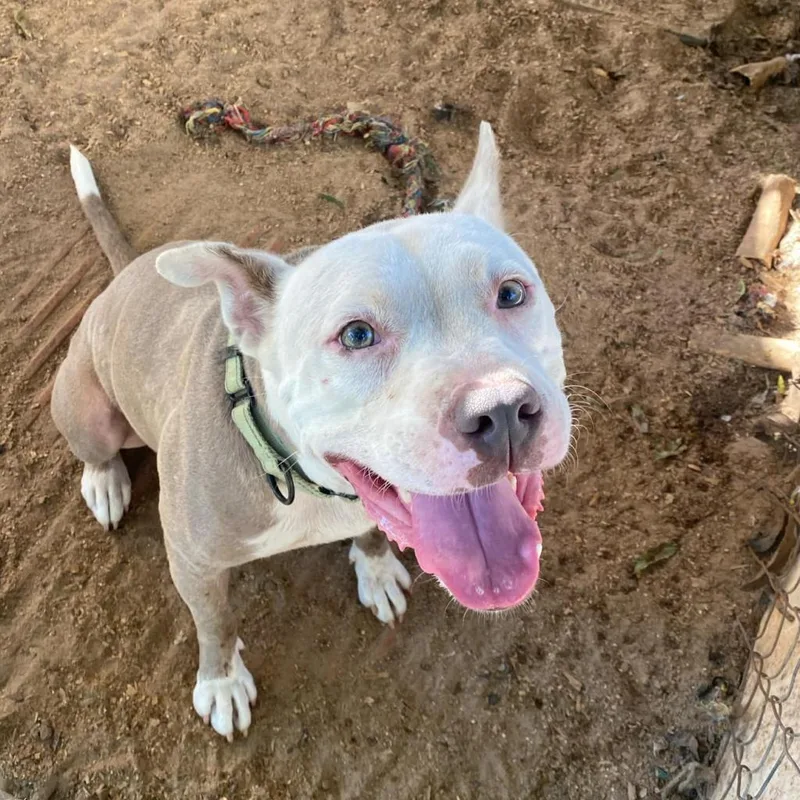 Zebediah thumbnail 2