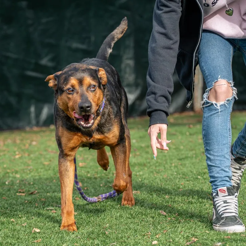 Pooh Bear thumbnail 5