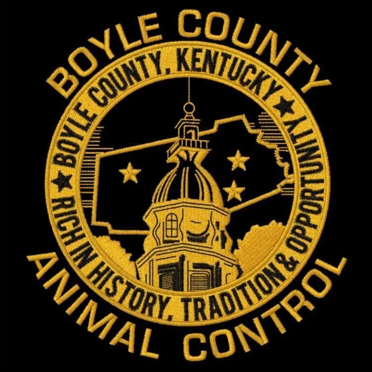 Flapjack thumbnail 2