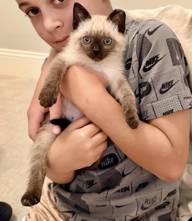 Julian thumbnail 3