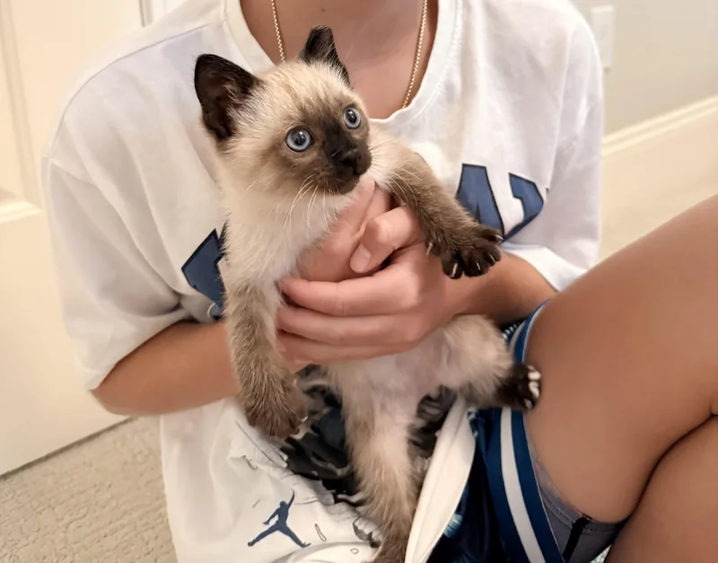 Julian thumbnail 4