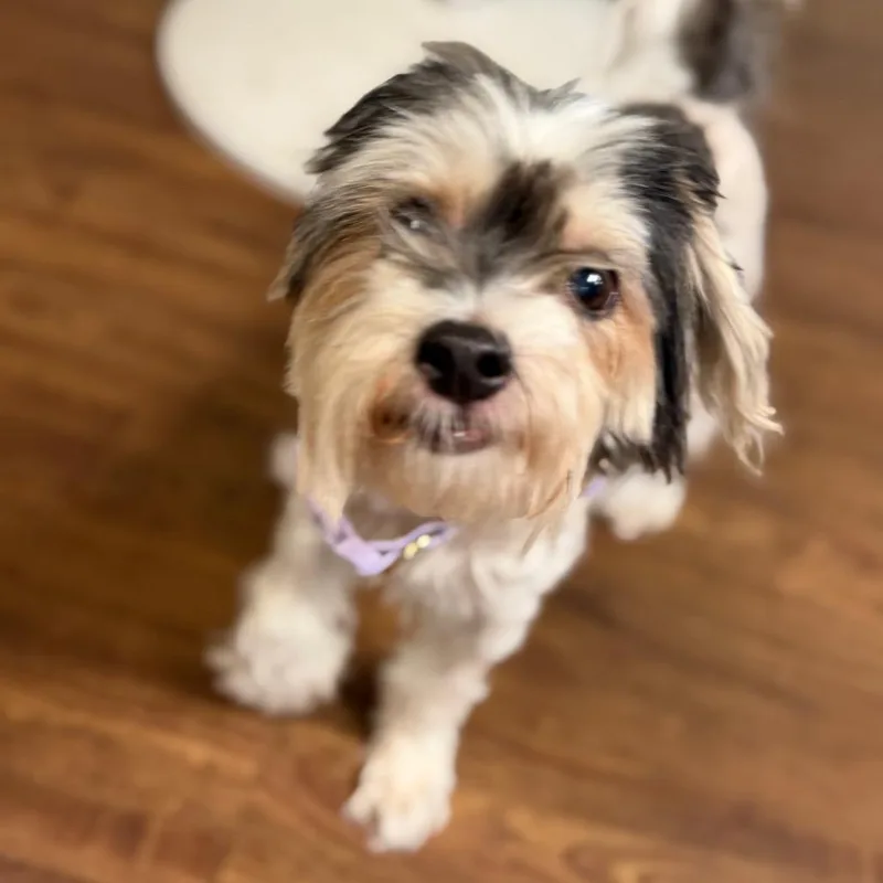Karen thumbnail 5
