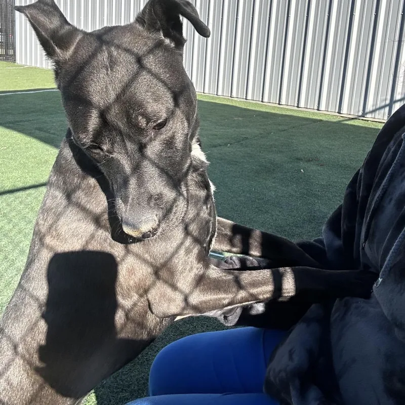 Eponine Coco thumbnail 3