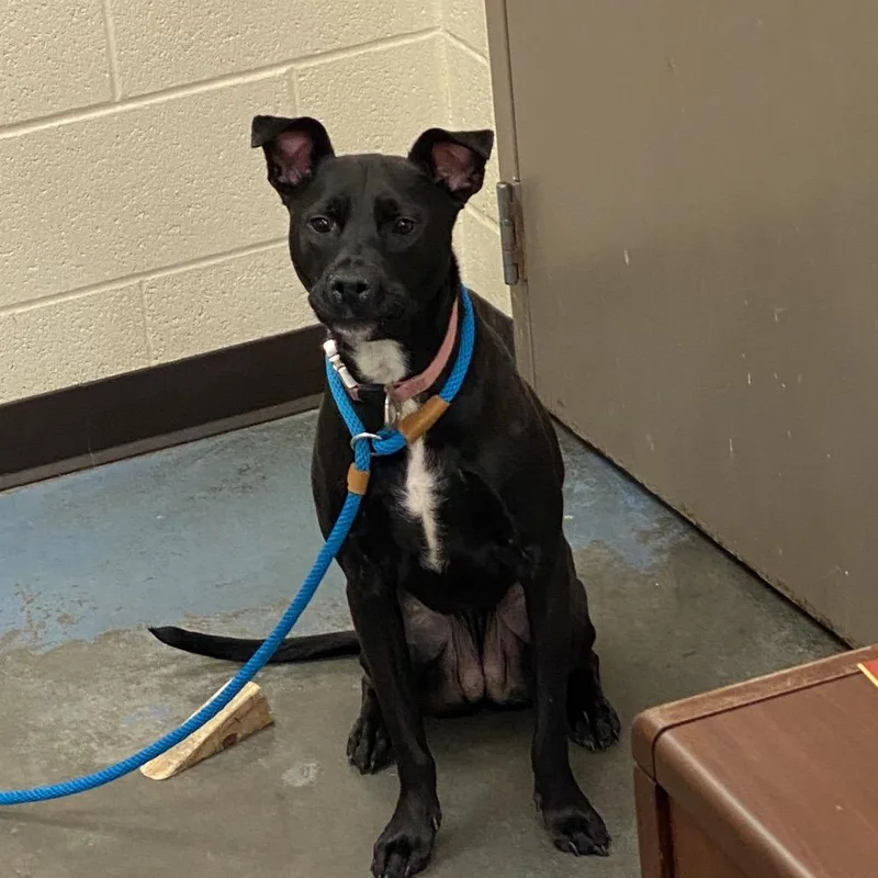 Eponine Coco thumbnail 4