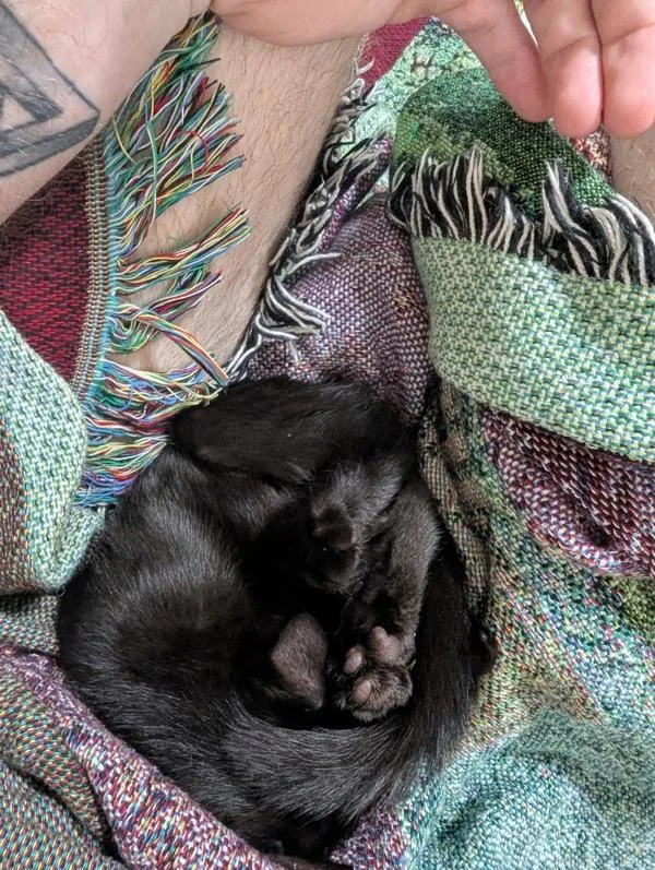 Sweet Pea thumbnail 2