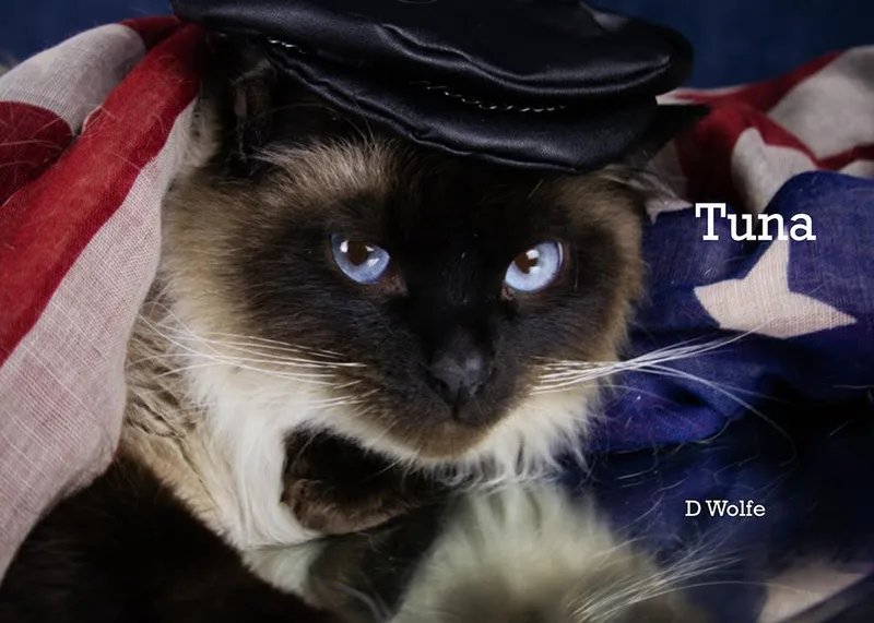 Tuna & Cupcake thumbnail 2