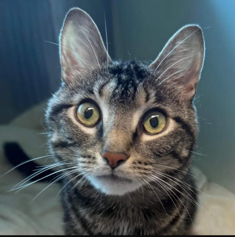 Robin Special Needs Mild