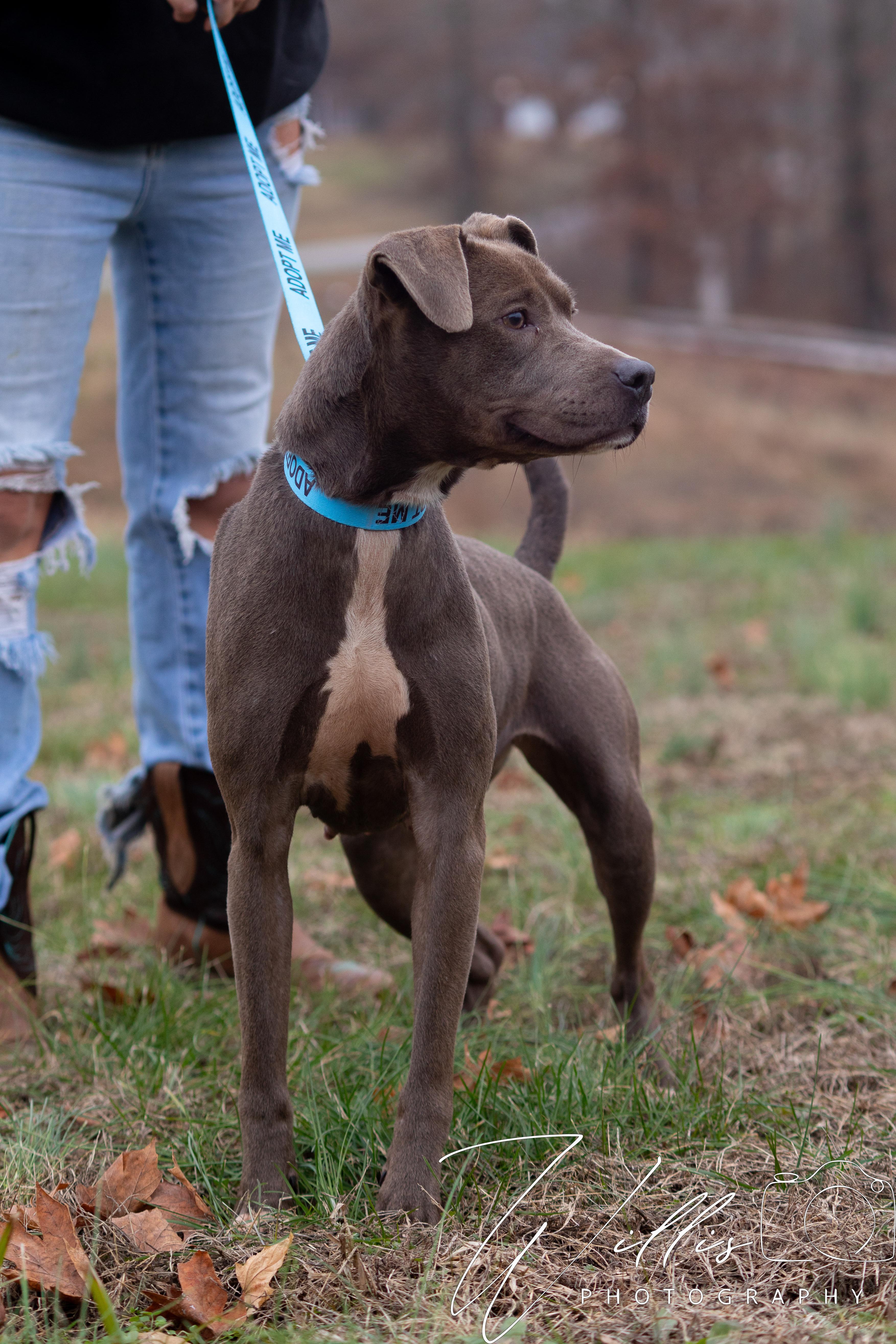 Lil Momma thumbnail 2