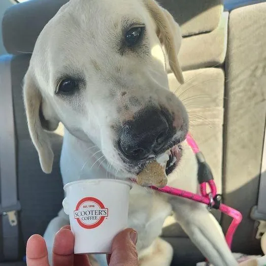 Resolution thumbnail 2