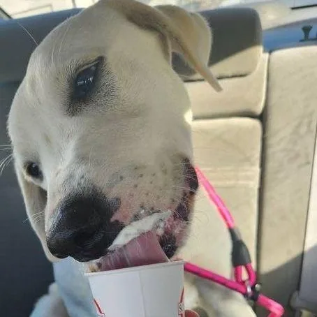 Resolution thumbnail 3