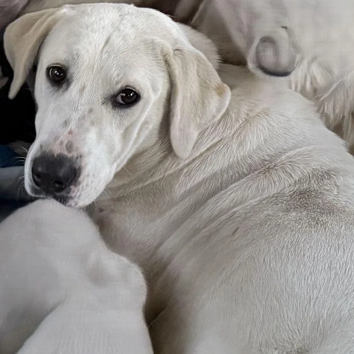 Resolution thumbnail 4