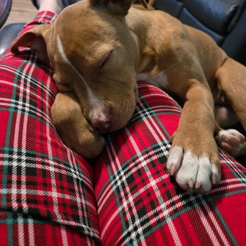 Valentina thumbnail 2