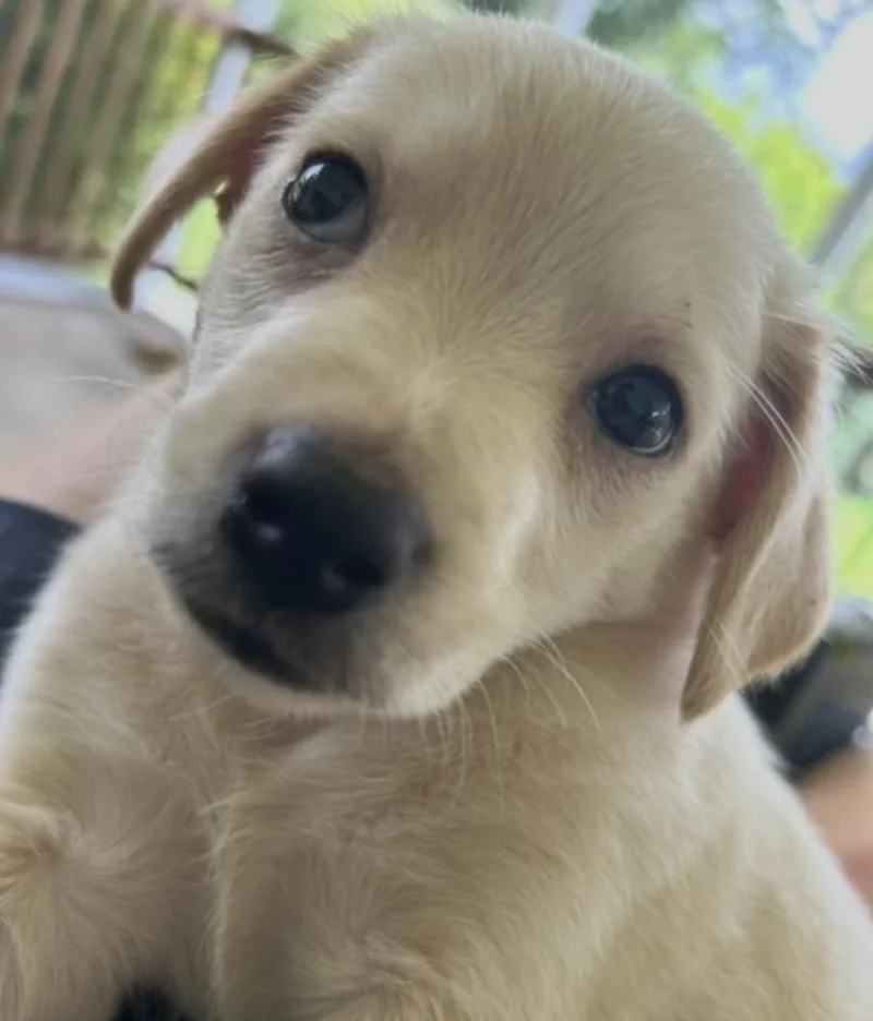 Roo thumbnail 5