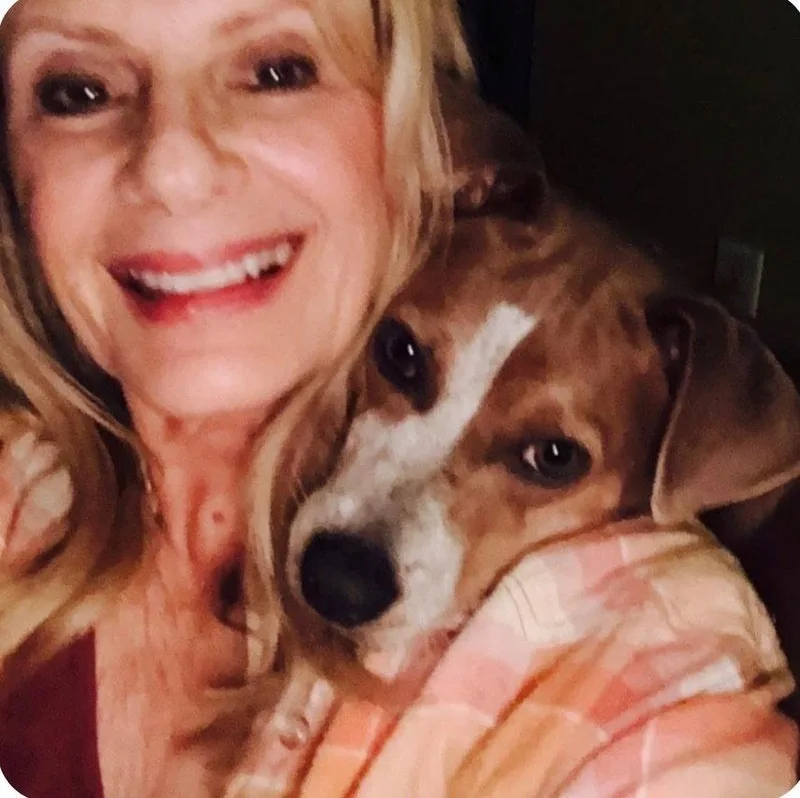 A young medium-sized female Terrier dog named Penny Cp for adoption in Columbia, TN