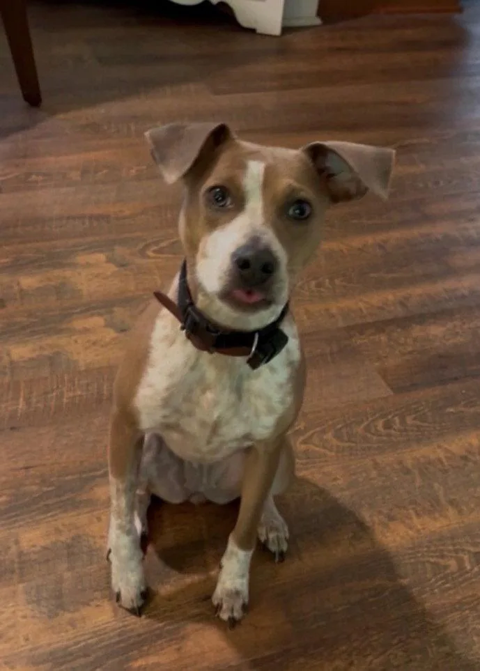 Penny Cp thumbnail 2