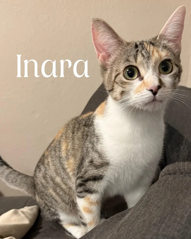 Inara