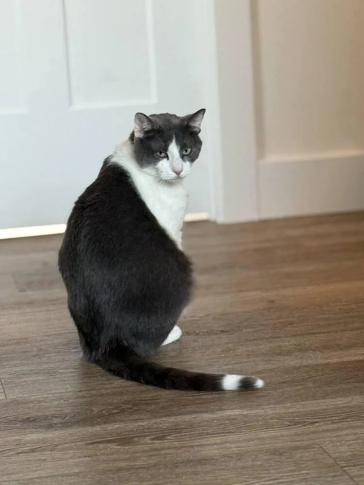 Dantonio  Ortiz thumbnail 2