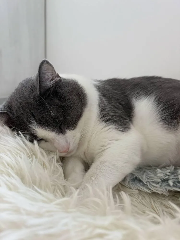 Dantonio  Ortiz thumbnail 4