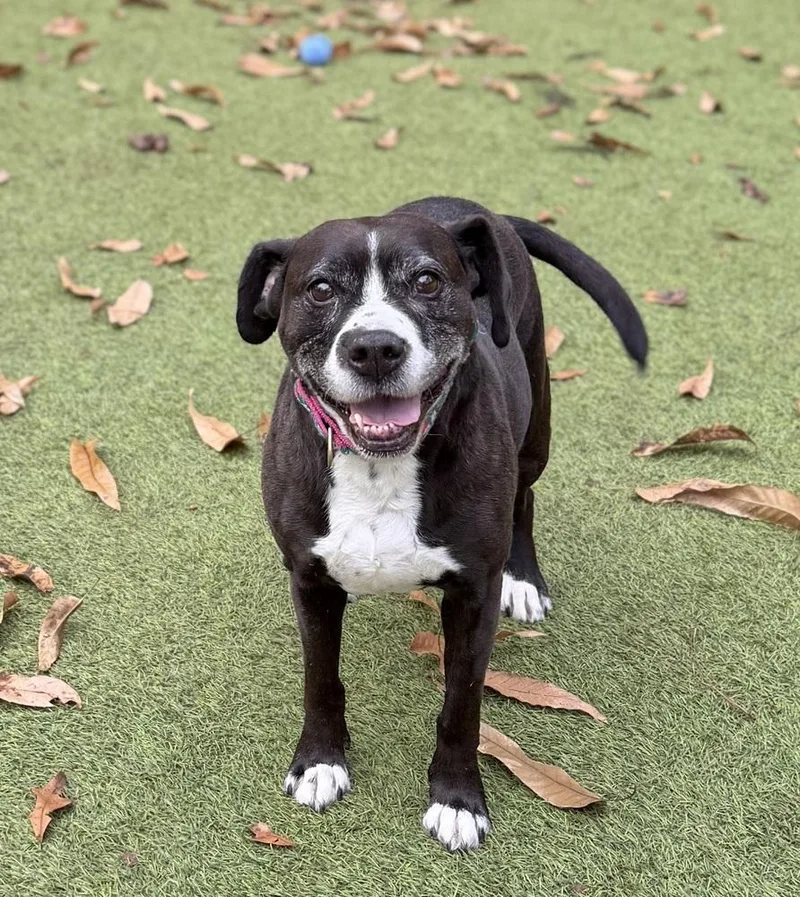 Mama Molly thumbnail 2