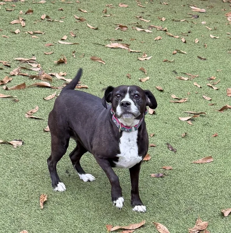 Mama Molly thumbnail 3