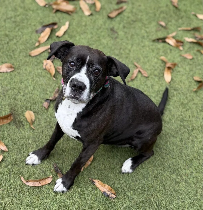 Mama Molly thumbnail 4