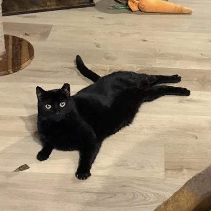 Mauricio thumbnail 2