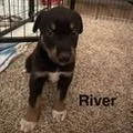 River thumbnail 3