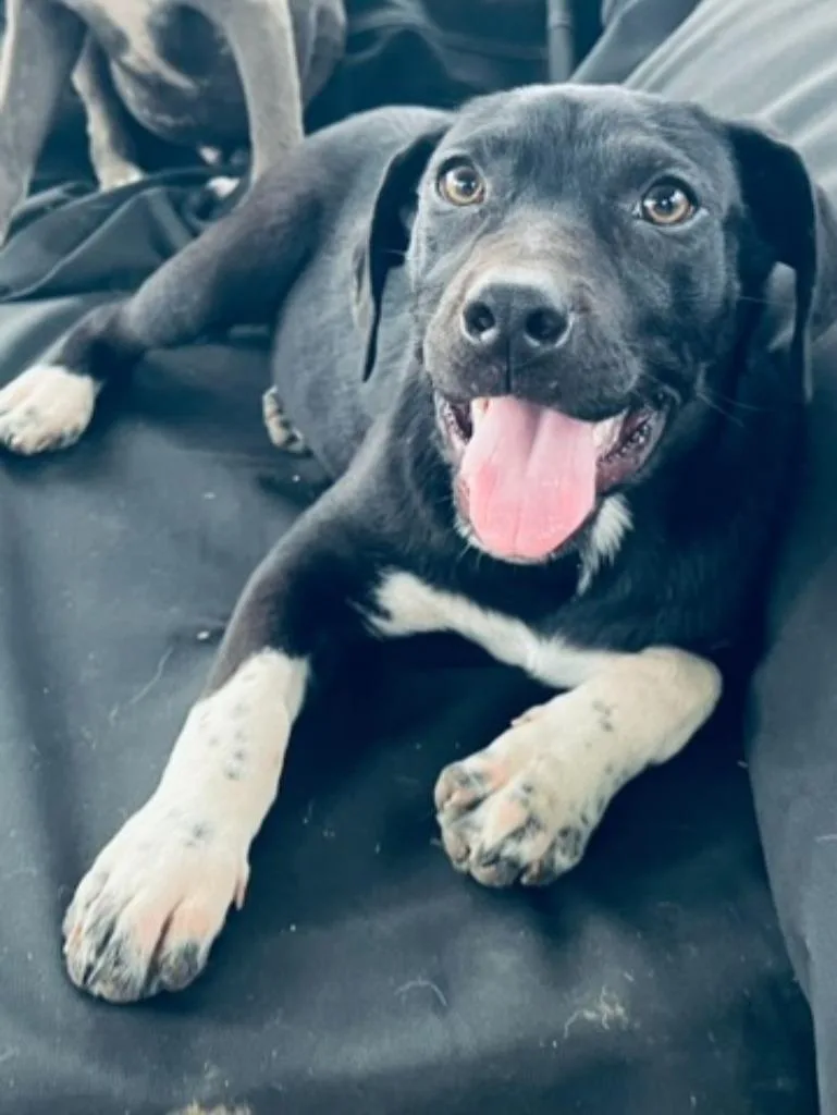 Maggie Mae