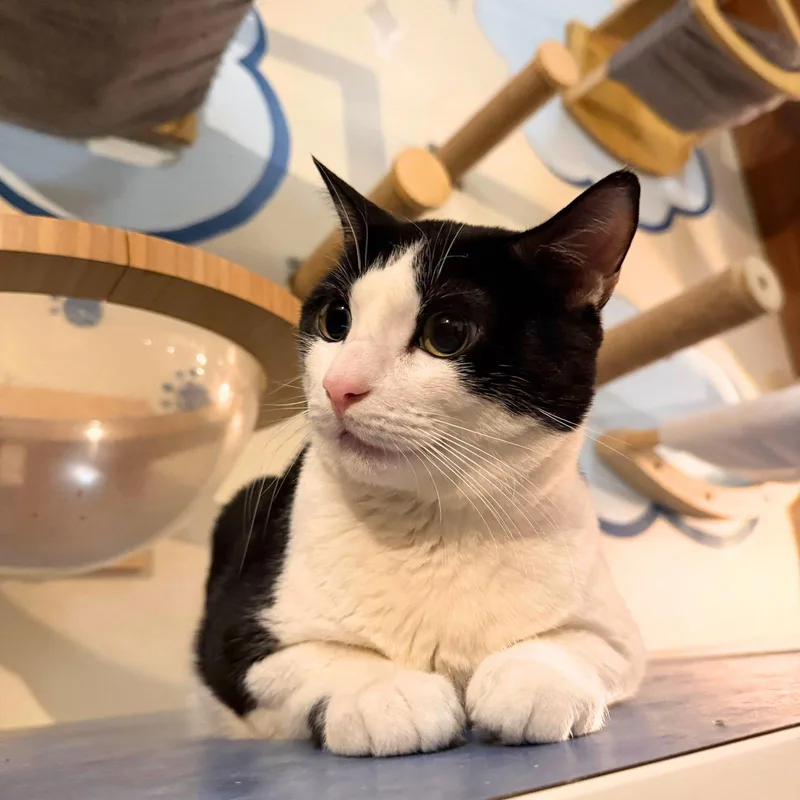 Zanzibar thumbnail 2