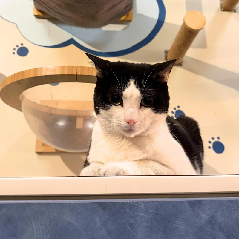 Zanzibar thumbnail 3