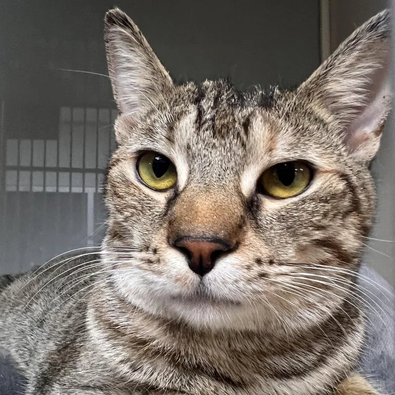 Charlotte thumbnail 2