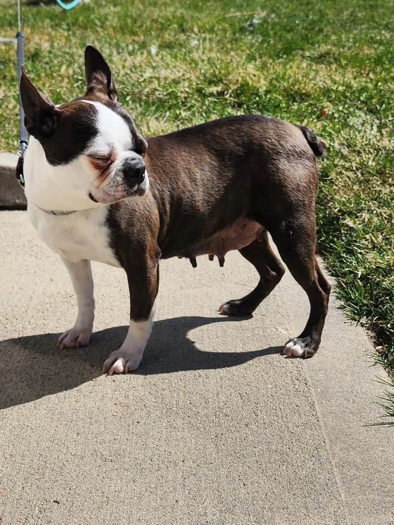 Jean In Ne thumbnail 3