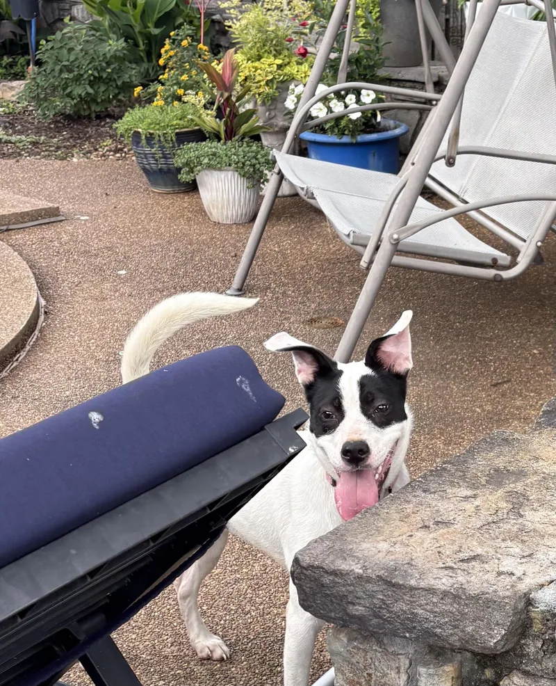 Morgan thumbnail 3