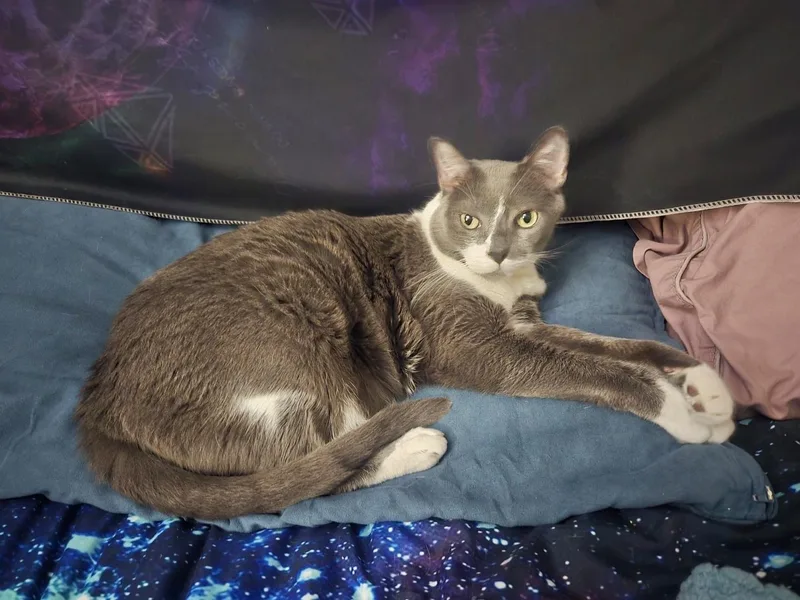 Gioowner Passed Away