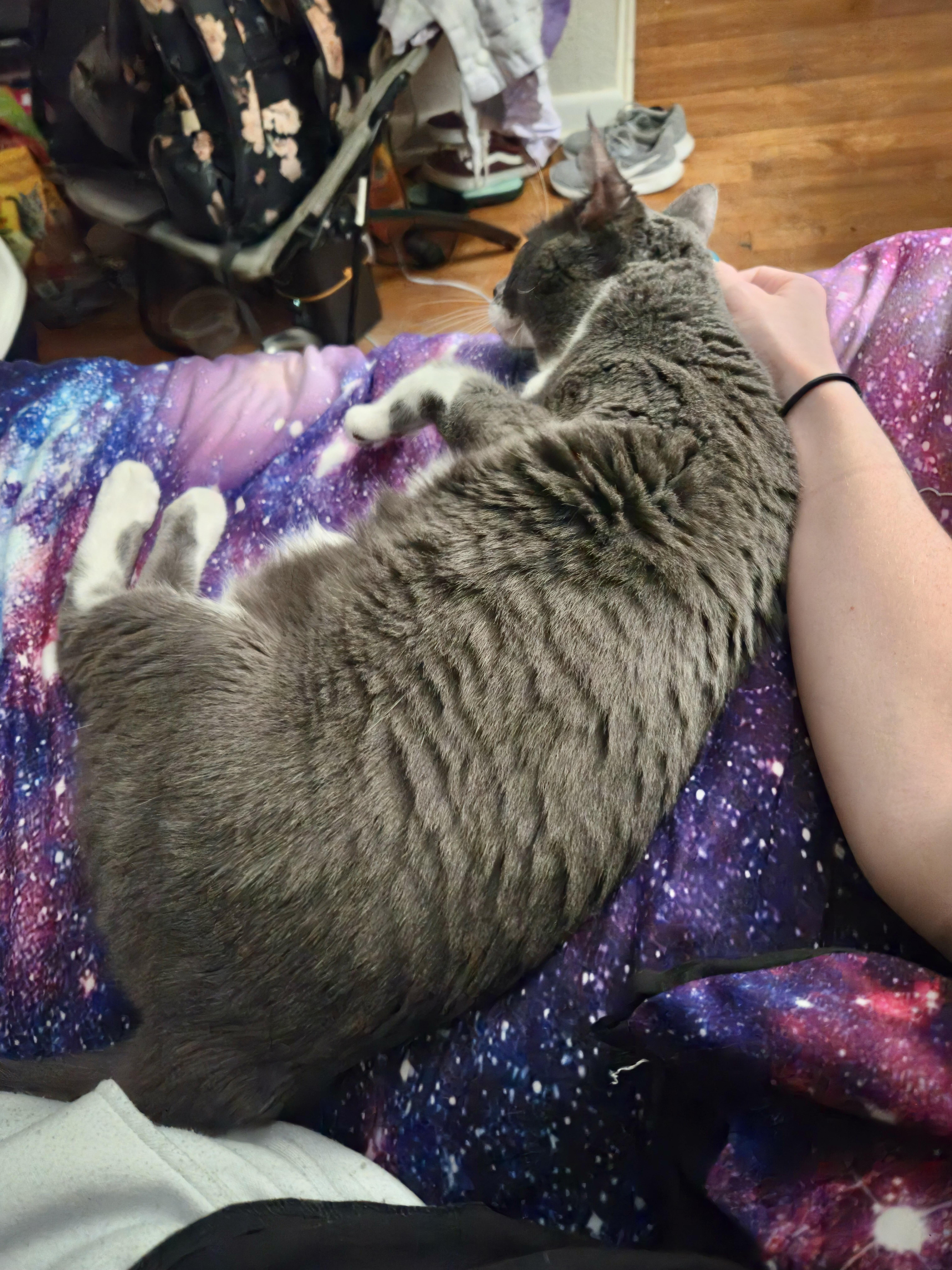 Gioowner Passed Away thumbnail 2