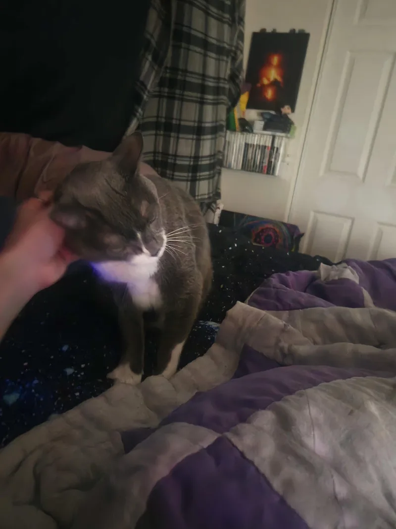 Gioowner Passed Away thumbnail 3